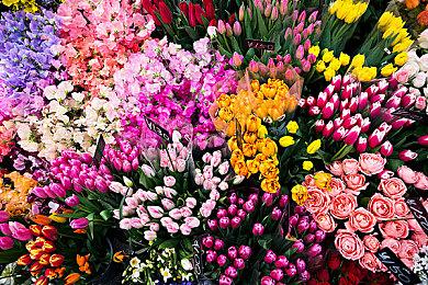 传闻：下一代Xbox有望2026年发布 包含掌机和主机